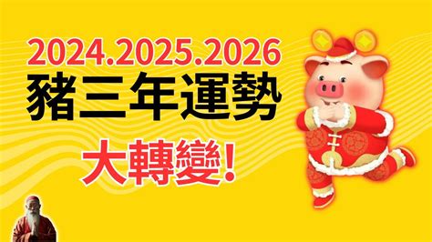 屬豬財位2023|生肖豬2023年—2025年，三年一小運，6年一大運